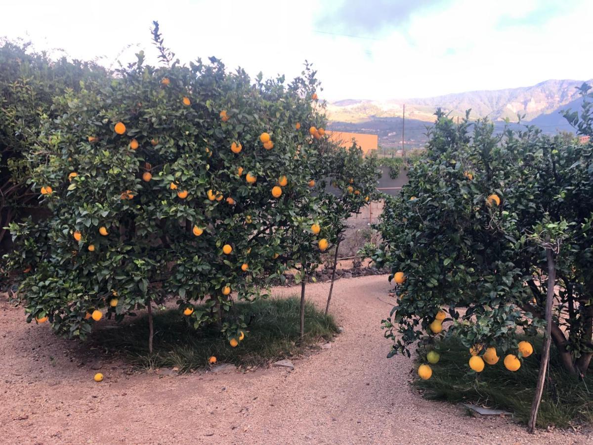 Afrikan Krisant Tenerife, Casa Rural Ecologica Арафо Экстерьер фото