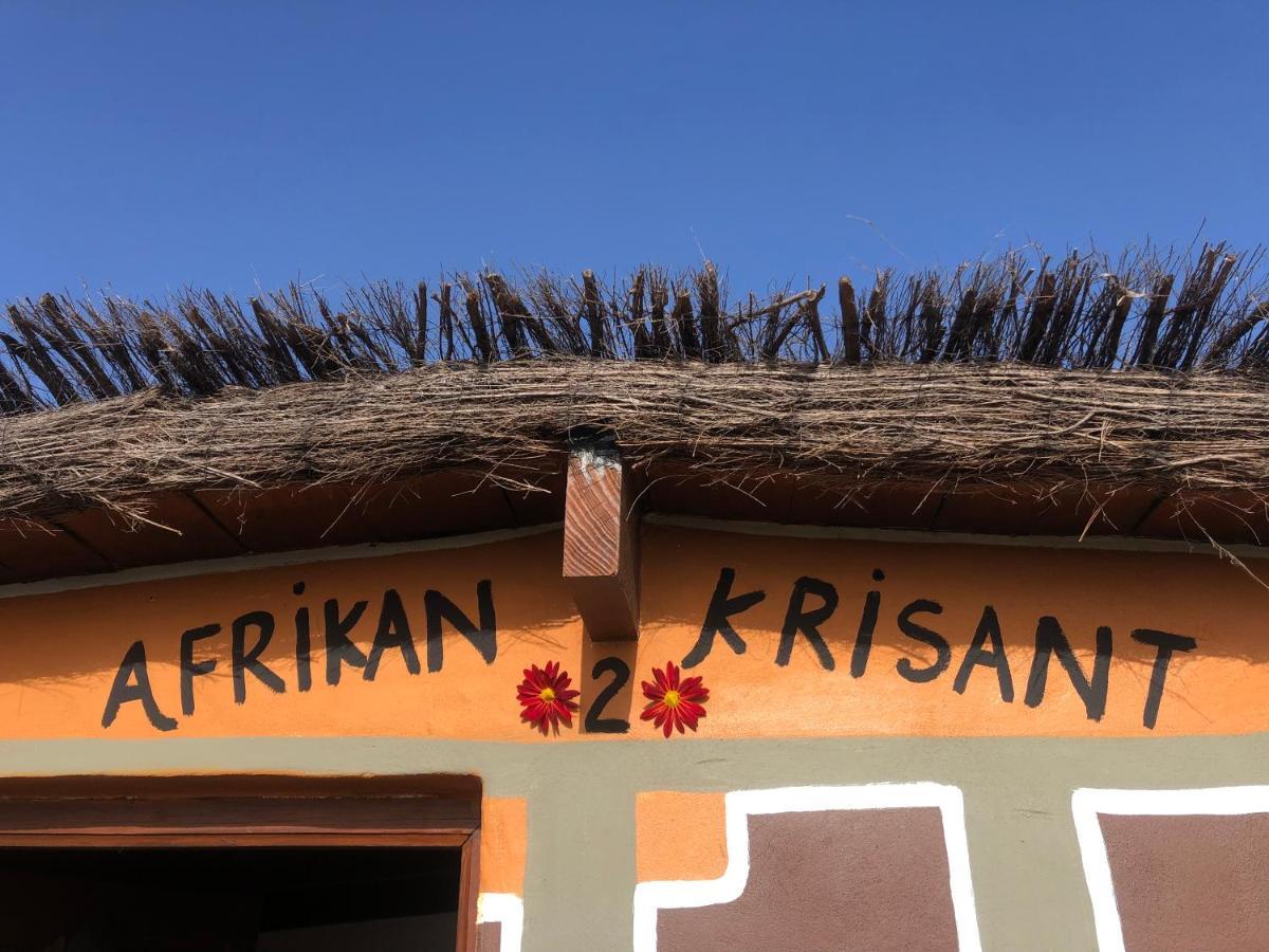 Afrikan Krisant Tenerife, Casa Rural Ecologica Арафо Экстерьер фото