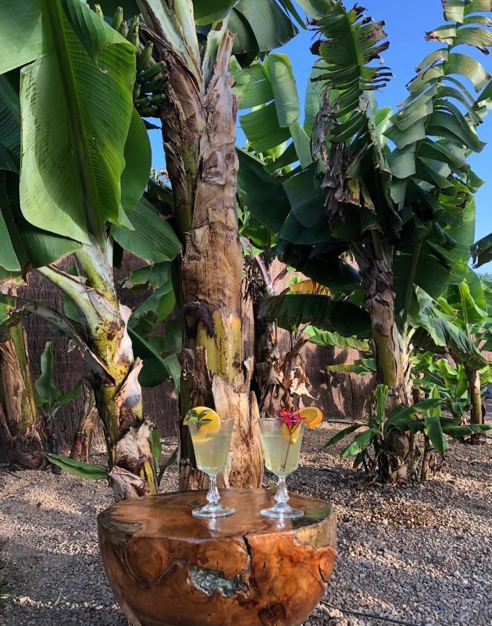 Afrikan Krisant Tenerife, Casa Rural Ecologica Арафо Экстерьер фото