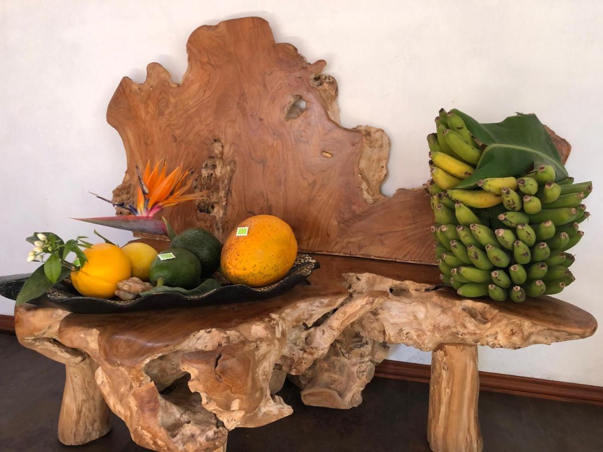 Afrikan Krisant Tenerife, Casa Rural Ecologica Арафо Экстерьер фото