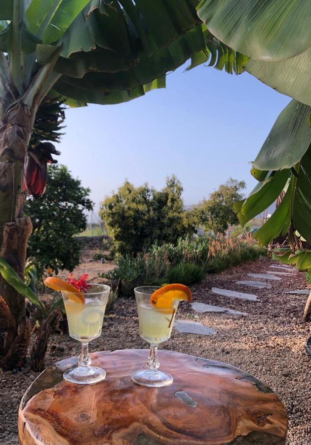 Afrikan Krisant Tenerife, Casa Rural Ecologica Арафо Экстерьер фото