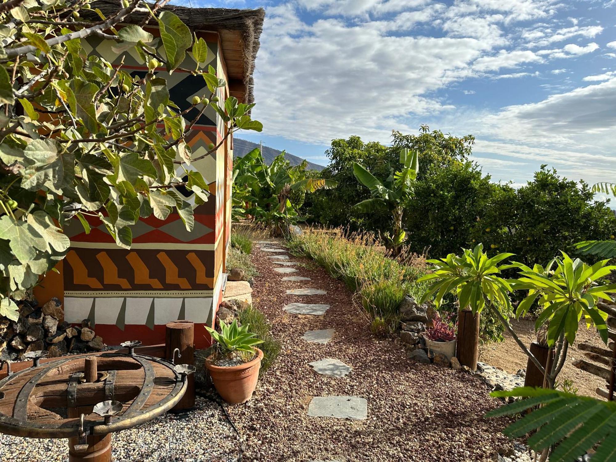 Afrikan Krisant Tenerife, Casa Rural Ecologica Арафо Экстерьер фото